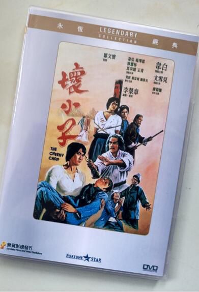 電影 壞小子 香港樂貿DVD收藏版 韋白/韋弘/王青/文雪兒