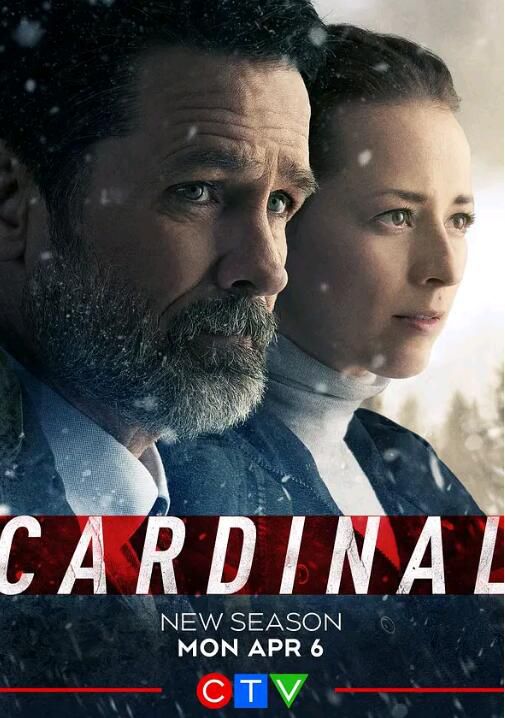 2020新加拿大犯罪劇DVD：冰血緝兇 第四季/卡迪納爾 第4季 Cardinal