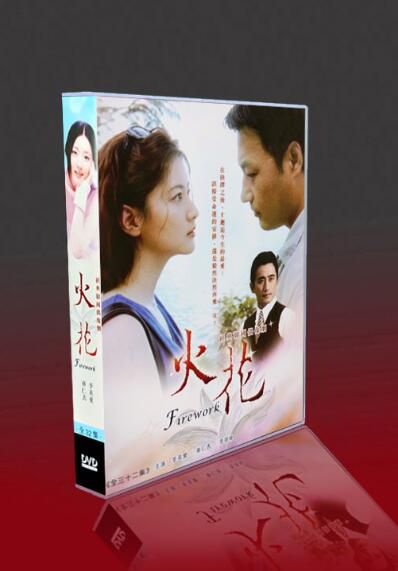 經典韓劇 火花 國韓雙語 李英愛車仁表李璟榮 6碟DVD盒裝
