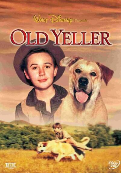 經典感人寵物電影 老黃狗/父親離家時 Old Yeller DVD收藏版