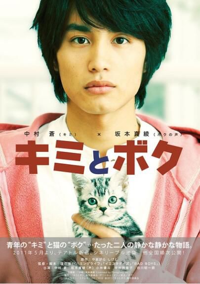 日本貓咪電影 妳和我 DVD收藏版