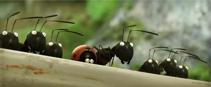 法國紀錄片 動畫片 電影《昆蟲總動員》DVD9 無語言對白 中文字幕