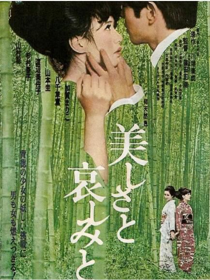 1965日本高分愛情《美麗與哀傷/美與哀》山本圭.日語中字