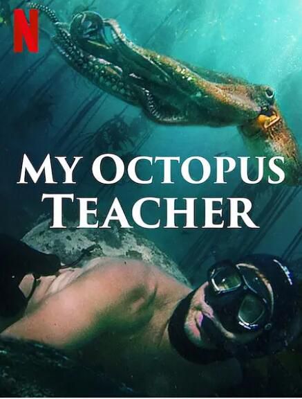 2020高分紀錄片《我的章魚老師》.英語中英雙字
