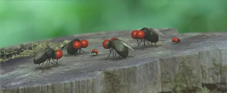 法國紀錄片 動畫片 電影《昆蟲總動員》DVD9 無語言對白 中文字幕