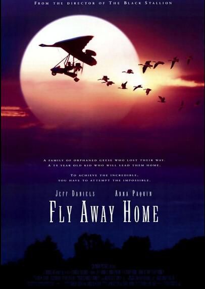 經典電影 伴妳高飛/返家十萬裏 Fly Away Home 全新盒裝DVD　