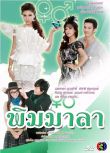 2011泰劇《秘密花園》Aum&Namcha（13集完結）泰語中字 7碟