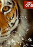 BBC:大貓/大蟲 Big Cats 高清3D9