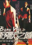 野獸之瞳/Born Wild DVD收藏版 古天樂/吳彥祖
