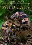 2021自然紀錄片《泰國野生貓科/Thailand's Wild Cats》英語.中字