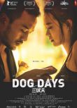 2016香港同性電影《三伏天/Dog Days》DVD 黃璐/羅藍山 粵語中字