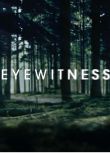 美劇：目擊證人/目擊者/Eyewitness（2016）第一季 3D9